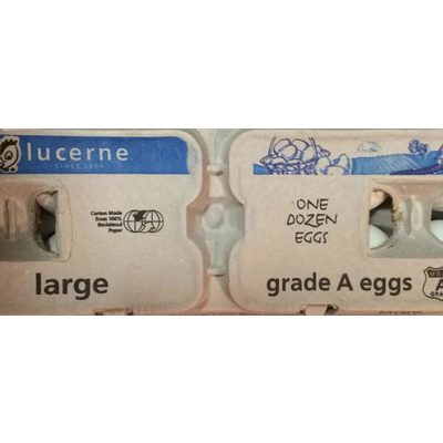 Grade A Eggs, Large