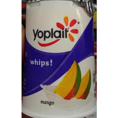 Whips! Lowfat Yogurt Mousse, Mango