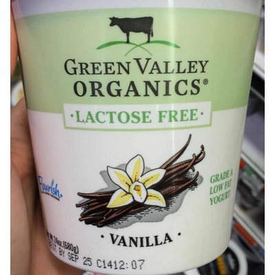 Vanilla Yogurt