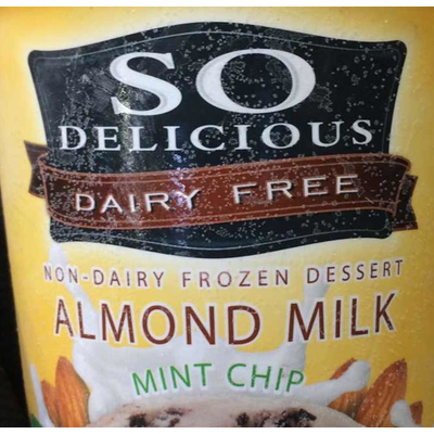 Almond Milk Non-Dairy Frozen Dessert, Mint Chip