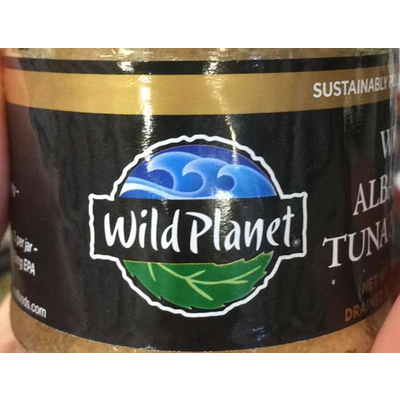 White Albacore Tuna