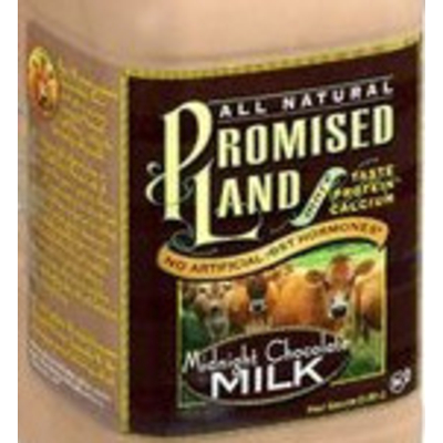 Midnight Chocolate Milk