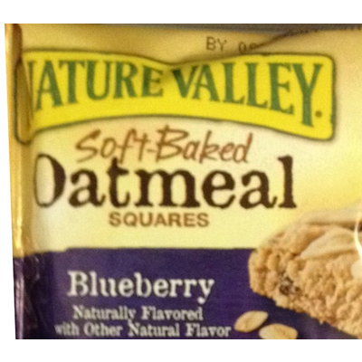 Soft-Baked Oatmeal Squares, Blueberry