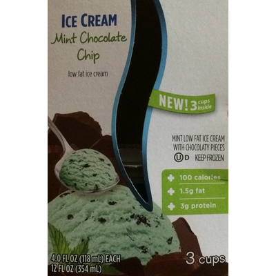 Mint Chocolate Chip Ice Cream