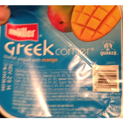 Lowfat Yogurt with Mango