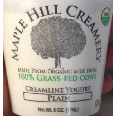Plain Creamline Yogurt