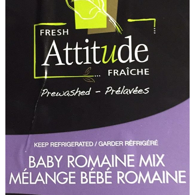 Baby Romaine Mix