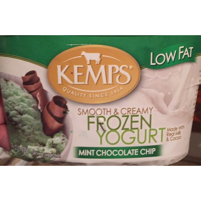 Mint Chocolate Chip, Frozen Yogurt