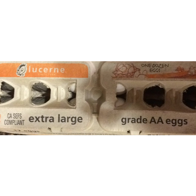Grade AA Extra Large Eggs