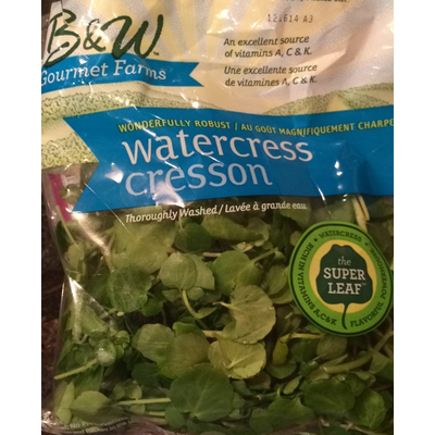 Watercress