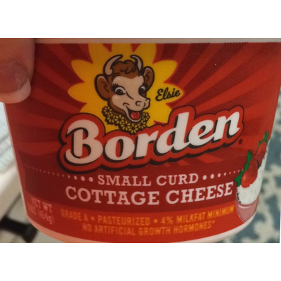 Small Curd Cottage Cheese