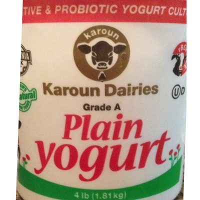 Plain Yogurt