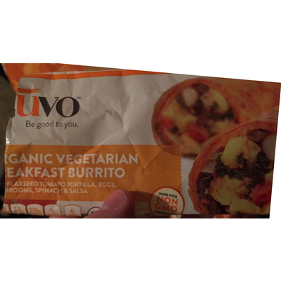 Organic Vegetarian Breakfast Burrito