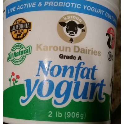 Nonfat Yogurt