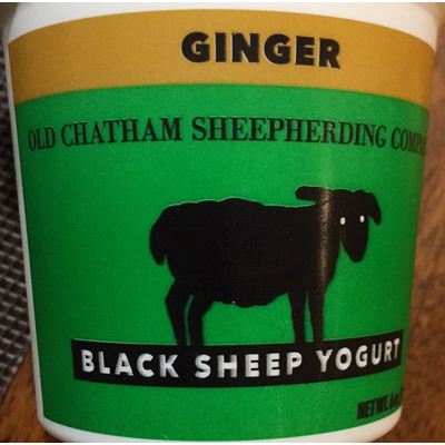 Black Sheep Yogurt, Ginger