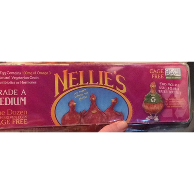 Cage Free Eggs, Medium