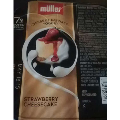 Strawberry Cheesecake Yogurt