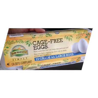 Cage-Free Eggs