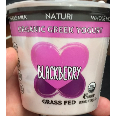 Organic Greek Yogurt, Blackberry