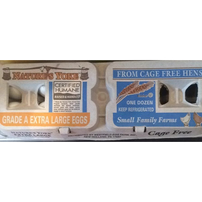 Extra Large Eggs, Grade A