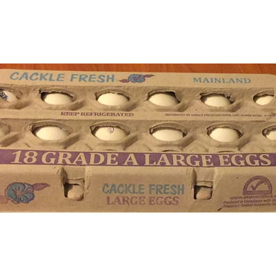 Large Eggs