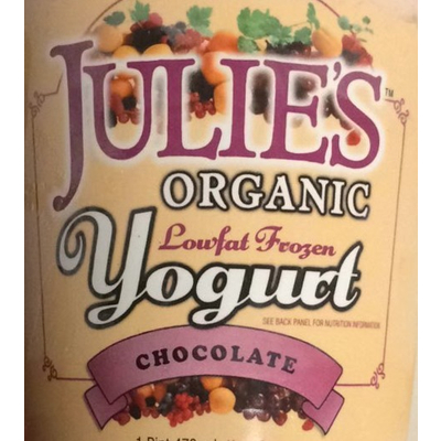 Lowfat Frozen Yogurt, Chocolate