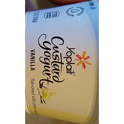 Custard Yogurt, Vanilla
