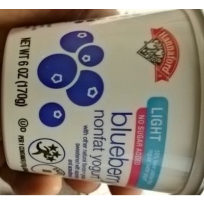Blueberry Nonfat Yogurt