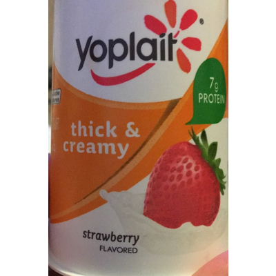 Strawberry Yogurt, Thick & Creamy