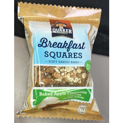 Breakfast Squares, Baked Apple Cinnamon
