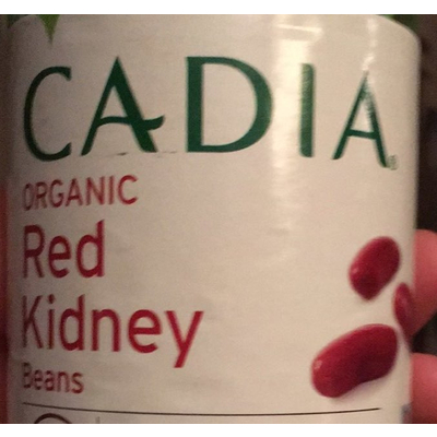 Organic Red Kidney Beans