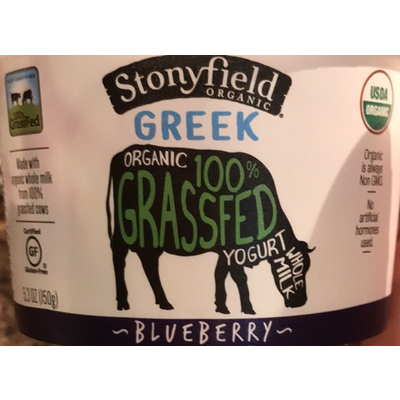 Organic Greek Yogurt, Blueberry