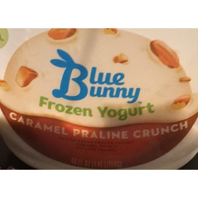 Frozen Yogurt, Caramel Praline Crunch