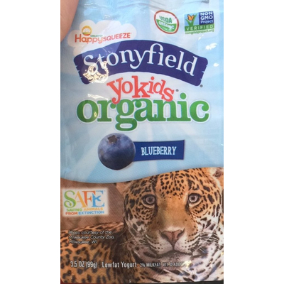 Yokids Organic Yogurt, Blueberry