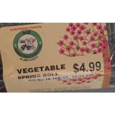 Vegetable Spring Roll