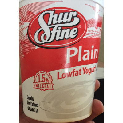 Lowfat Yogurt, Plain