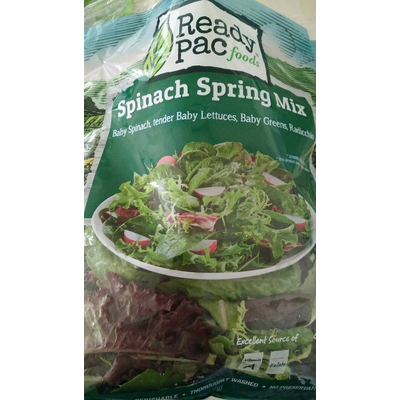 Spinach Spring Mix