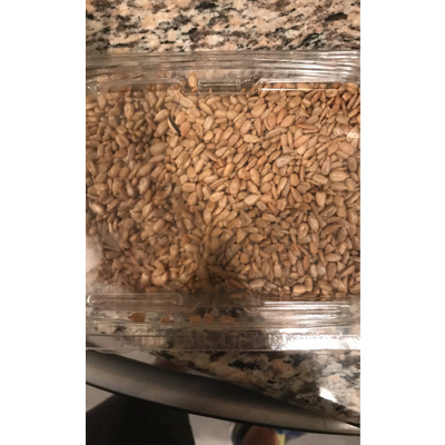 Sunflower Meat, Roasted & Salted
