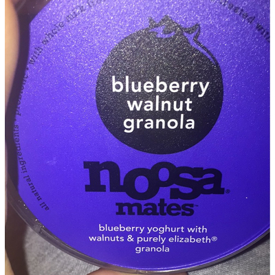 Blueberry Walnut Granola