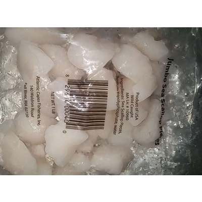 Sea Scallop
