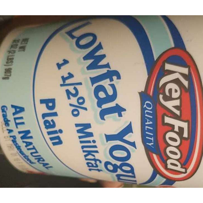 Lowfat Yogurt, Plain