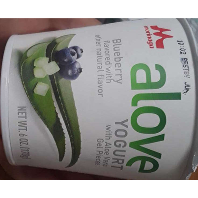 Yogurt, Blueberry With Aloe Vera