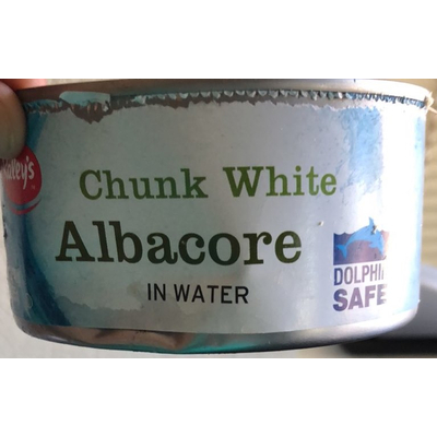 Chunk White Albacore, in Water