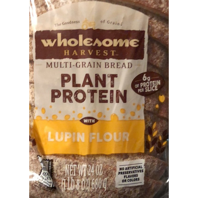Plant Protein Bread