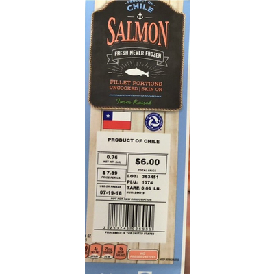 Salmon