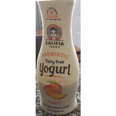 Probiotic Dairy Free Yogurt, Mango