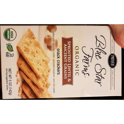 Sprouted Lentil & Ancient Grains Snack Crackers