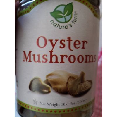 Oyster Mushrooms