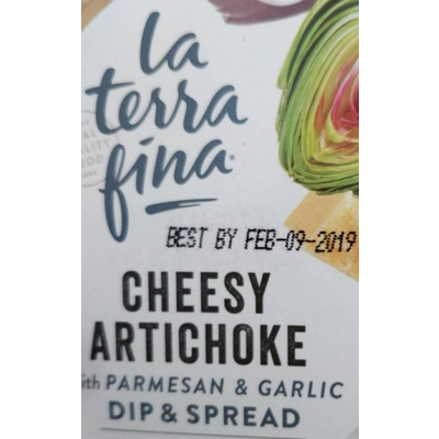Cheesy Artichoke Dip. Parmesan & Garlic