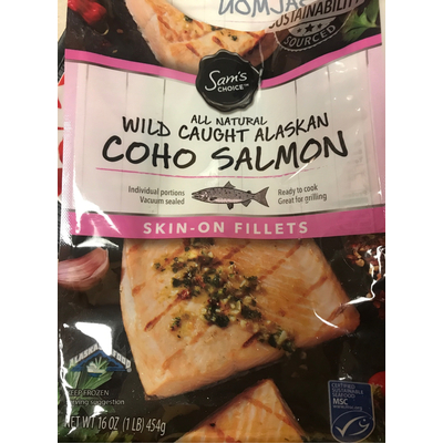 Coho Salmon